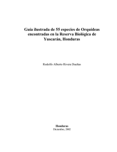 55 Especies de orquideas de la reserva