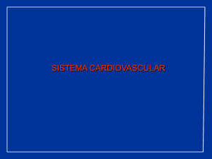 Función Cardiaca 2008
