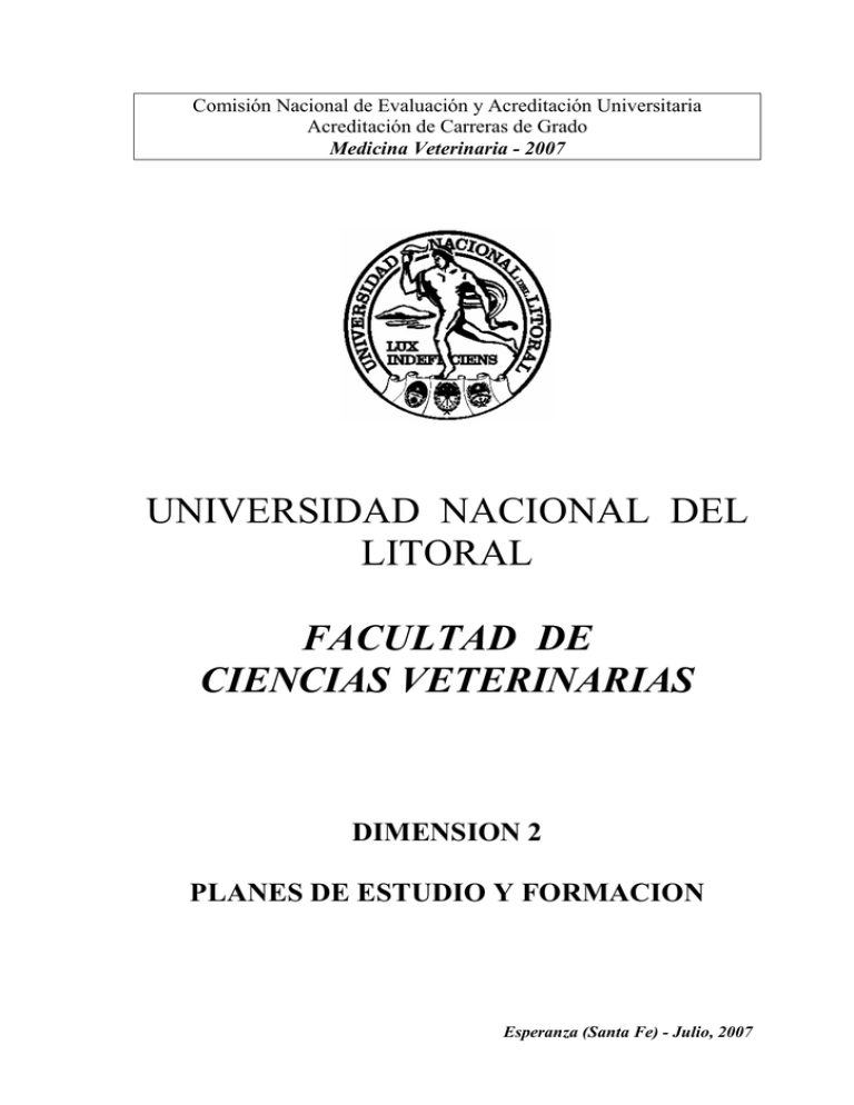 Plan De Estudios Y Formaci N