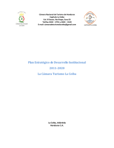 Documento Final Plan Estratégico 2011- 2020