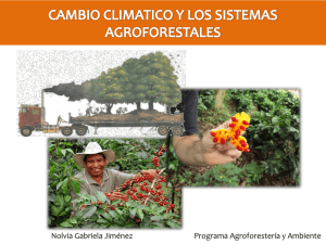 Cambio climático y los sistemas agroforestales