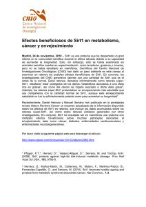 Efectos beneficiosos de Sirt1 en metabolismo, cáncer y envejecimiento
