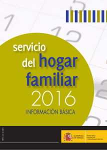 'Información básica sobre el servicio del hogar familiar 2016'