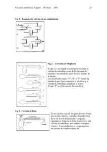 Arxiu 3 (cirfig123.pdf)