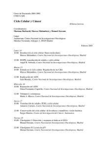 Programa (pdf 57 KB)