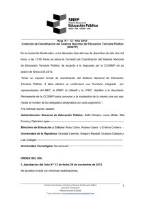 ACTA Nº13 CCSNETP 17.12.2013