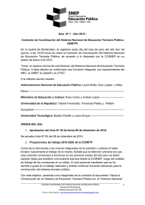 ACTA Nº1 CCSNETP 26 06 2015