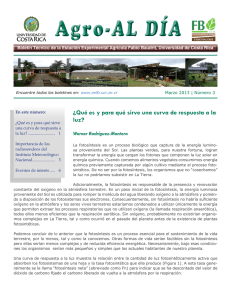 Boletín Agro-AlDía 3 2013