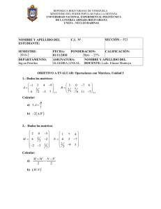 Prueba de algebra lineal Nro 01 P23