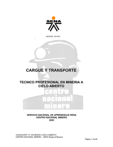 cargue y transporte 