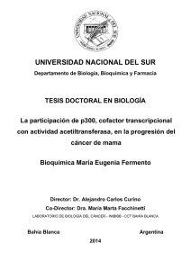 Tesis Fermento Conicet.pdf