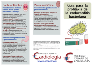 Guía para la profilaxis de la endocarditis bacteriana (Sociedad Canaria de Cardiología)