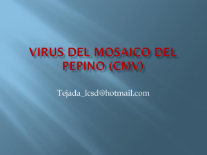 5 VIRUS DEL MOSAICO DEL PEPINO (CMV)