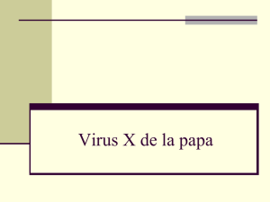 6 virus X