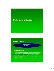 2 oidiosis