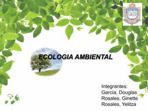 Presentación expo ecologia (conceptos)
