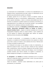 Tesis Stronati.pdf