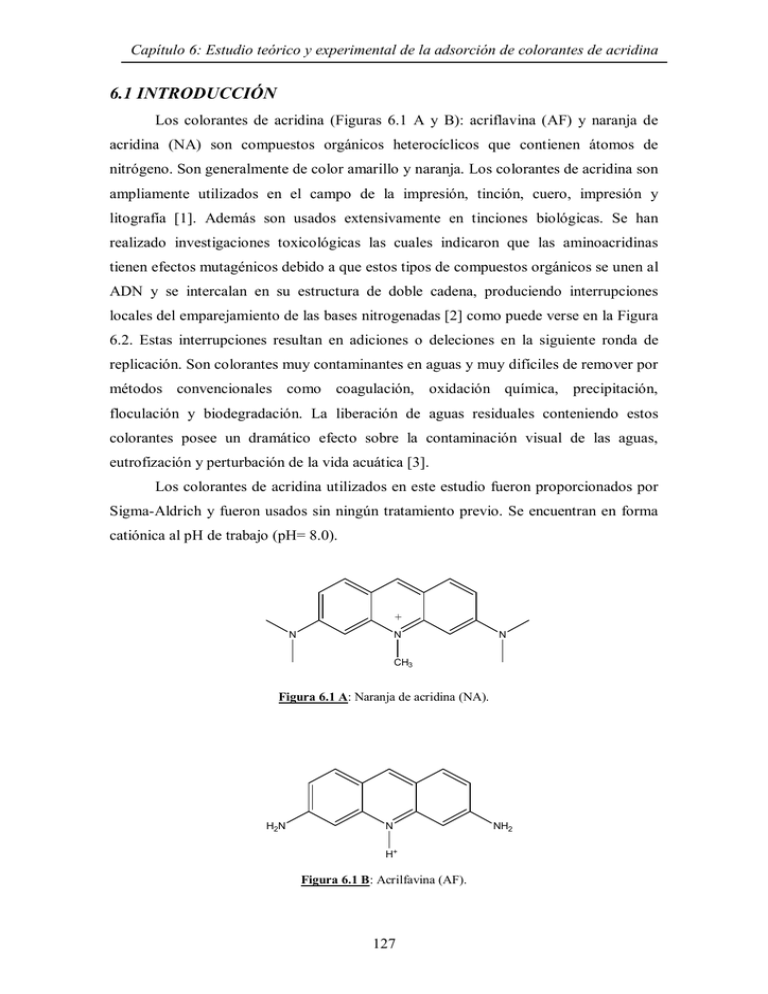 CAP 6 A pdf
