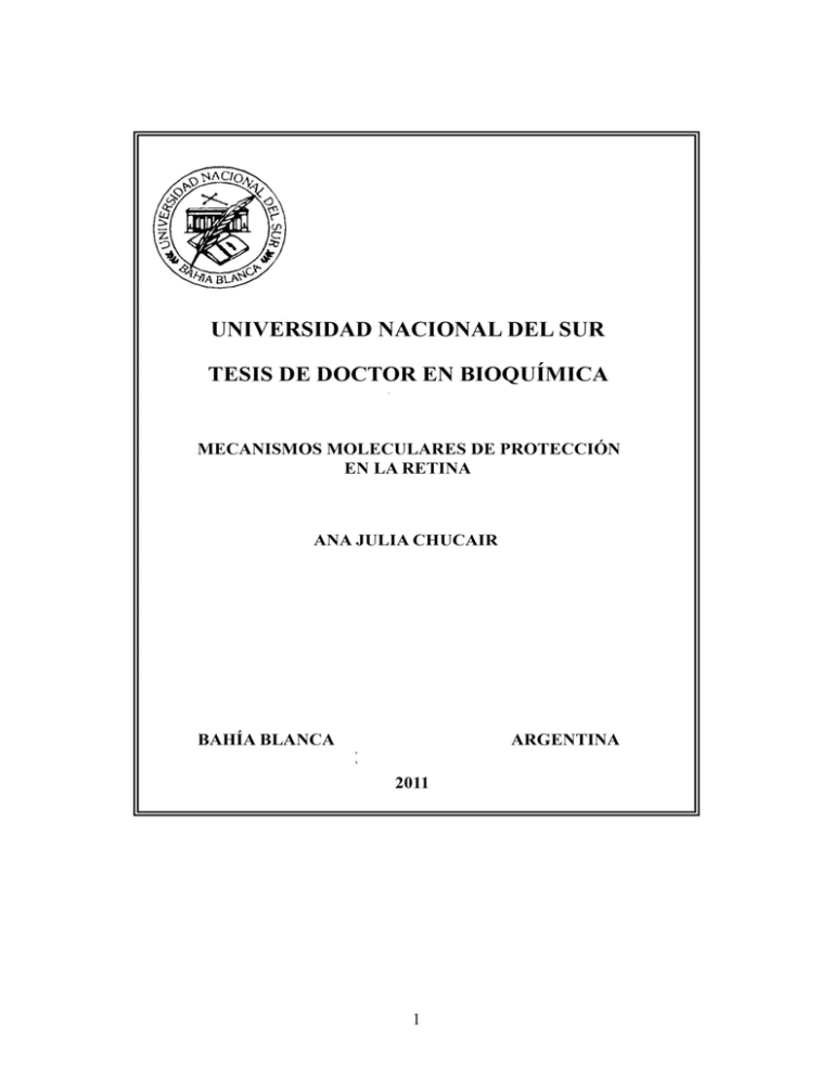 Tesis Doctoral Ana Julia Chucair pdf
