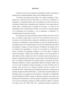 Tesis BouzoRes.pdf