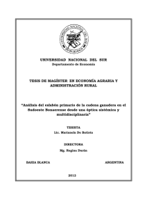 Marianela De Batista.pdf