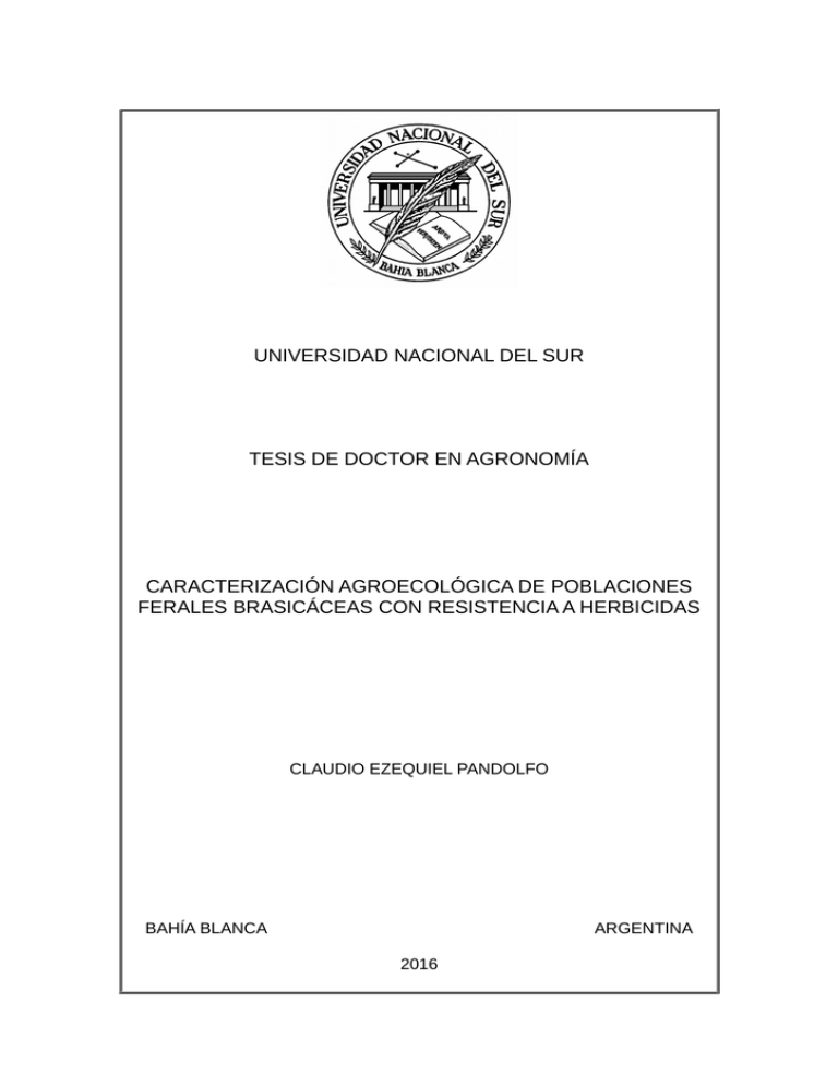 Tesis doctoral Pandolfo.pdf