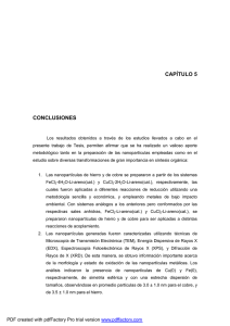 CAPÍTULO 5 CONCLUSIONES
