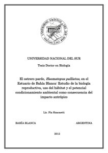 Tesis doctoral Pia Simonetti 2012.pdf