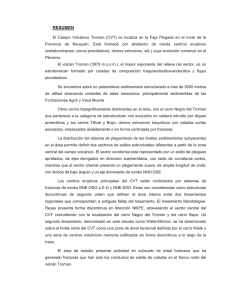 Loscerbo-Resumen.pdf