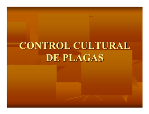 PresentacionGrupo 4, Control Cultural; DESCARGUELO