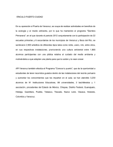 Vinculo-Puerto-2013.pdf