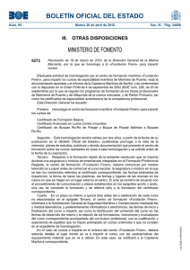 200410 resolucion homologacion FIREM