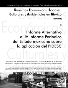 Informe Alternativo al IV Informe Peri dico del Estado mexicano sobre la aplicaci n del PIDESC
