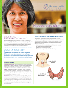 hipoparatiroidismo ¿Qué es el hipoparatiroidismo? HOJA INFORMATIVA