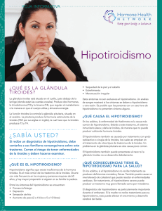 Hipotiroidismo ¿Qué es la glándula tiroides? HOJA INFORMATIVA