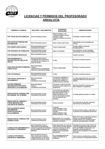 LICENCIAS Y PERMISOS DEL PROFESORADO nov 2007