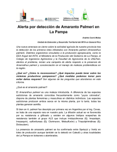 Informe Amaranthus Palmeri