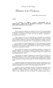 Resolución N° 317/2013 - Archivo PDF