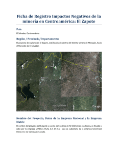 Ficha de Registro Impactos Negativos de la País Región / Provincia/Departamento