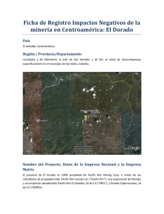 Ficha de Registro Impactos Negativos de la País Región / Provincia/Departamento