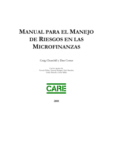 Risk Management Manual 2001
