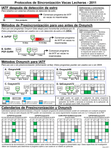 DCRC_protocol-spanish.pdf