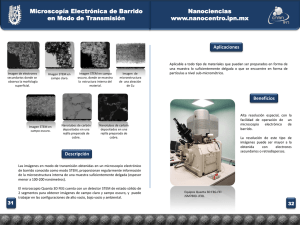 Microscopia Electronica de Barrido en Modo de Transmision
