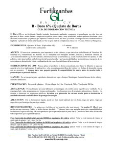 B - Boro 6% (Quelato de Boro) GUIA DE INFORMACION TECNICA