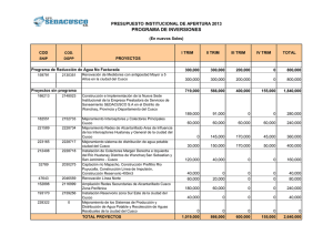 PROGRAMA DE INVERSIONES PRESUPUESTO INSTITUCIONAL DE APERTURA 2013