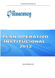 PLAN OPERATIVO INSTITUCIONAL 2012