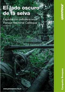 http://www.greenpeace.org/argentina/Global/argentina/report/2015/bosques/Informe_Calilegua_FINAL.pdf