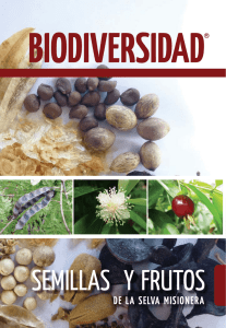 http://www.bosques.org.ar/publicaciones/Revista_BIODIVERSIDAD_6.pdf