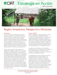 Estrategia en acción versión abreviada: Región Amazónica paisajes eco-eficientes 