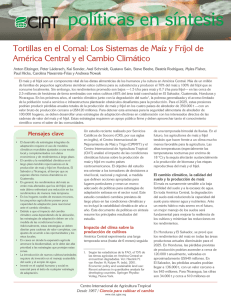 http://ciat.cgiar.org/wp-content/uploads/2012/12/politica_sintesis6_tortillas_en_comal.pdf